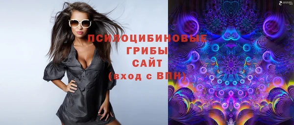 PSILOCYBIN Михайловка
