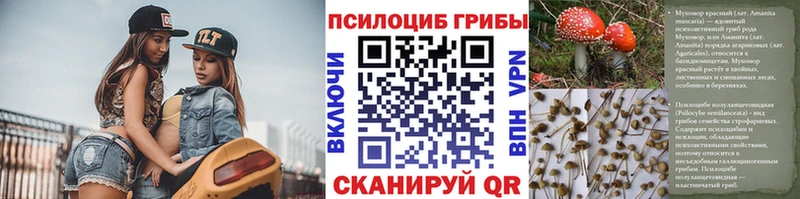 Галлюциногенные грибы Psilocybine cubensis Тбилисская